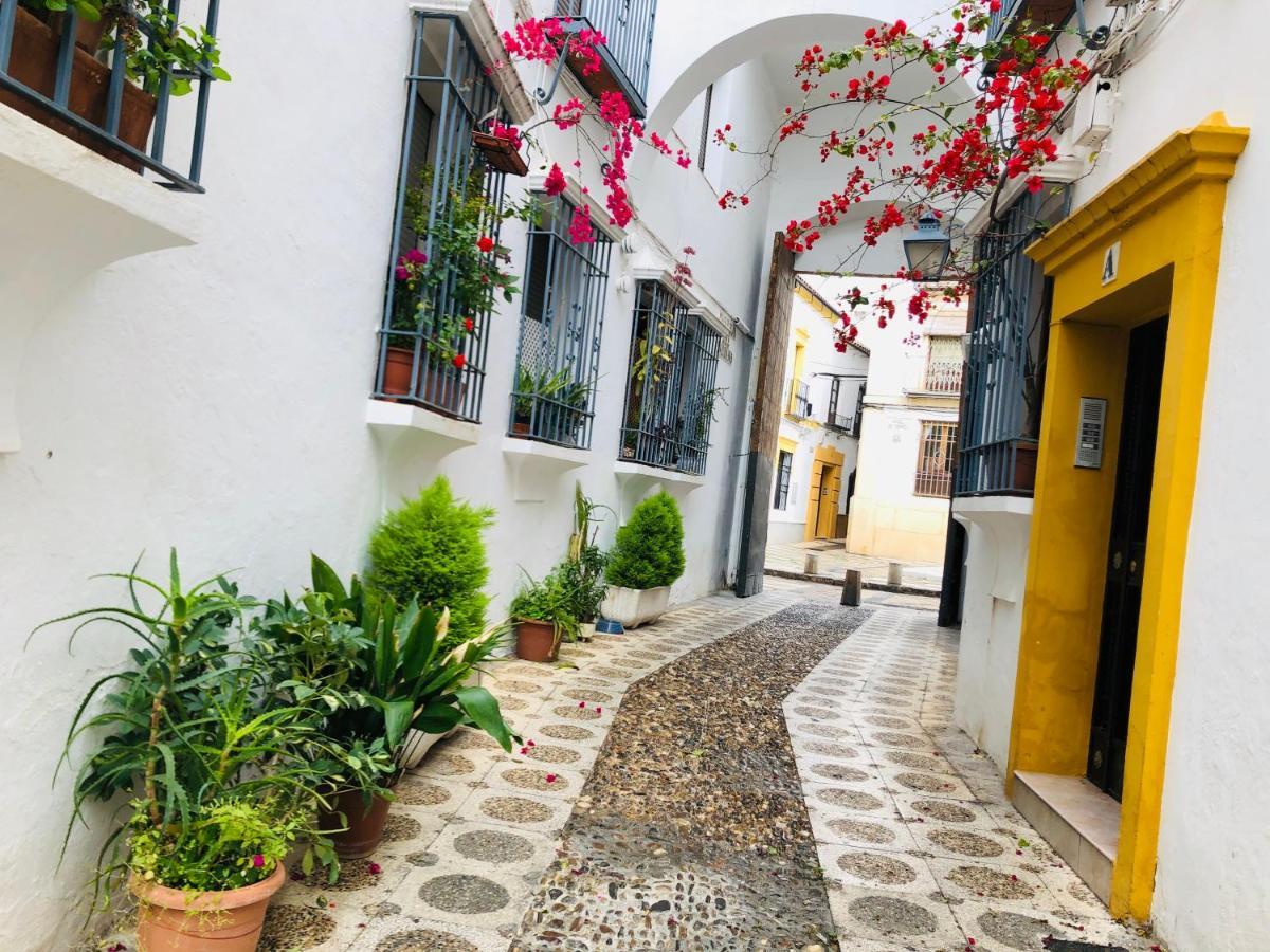 Vallaindiano Cordoba Dış mekan fotoğraf